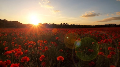 Shell International Pension Fund