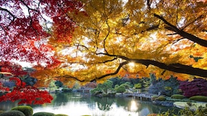 Lake surrounded by trees with leaves that are different autumn colours like yellows, andshaeds of brown