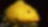 Yellow fish with large mouth