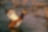 Duck in a lake just getting ready to fly