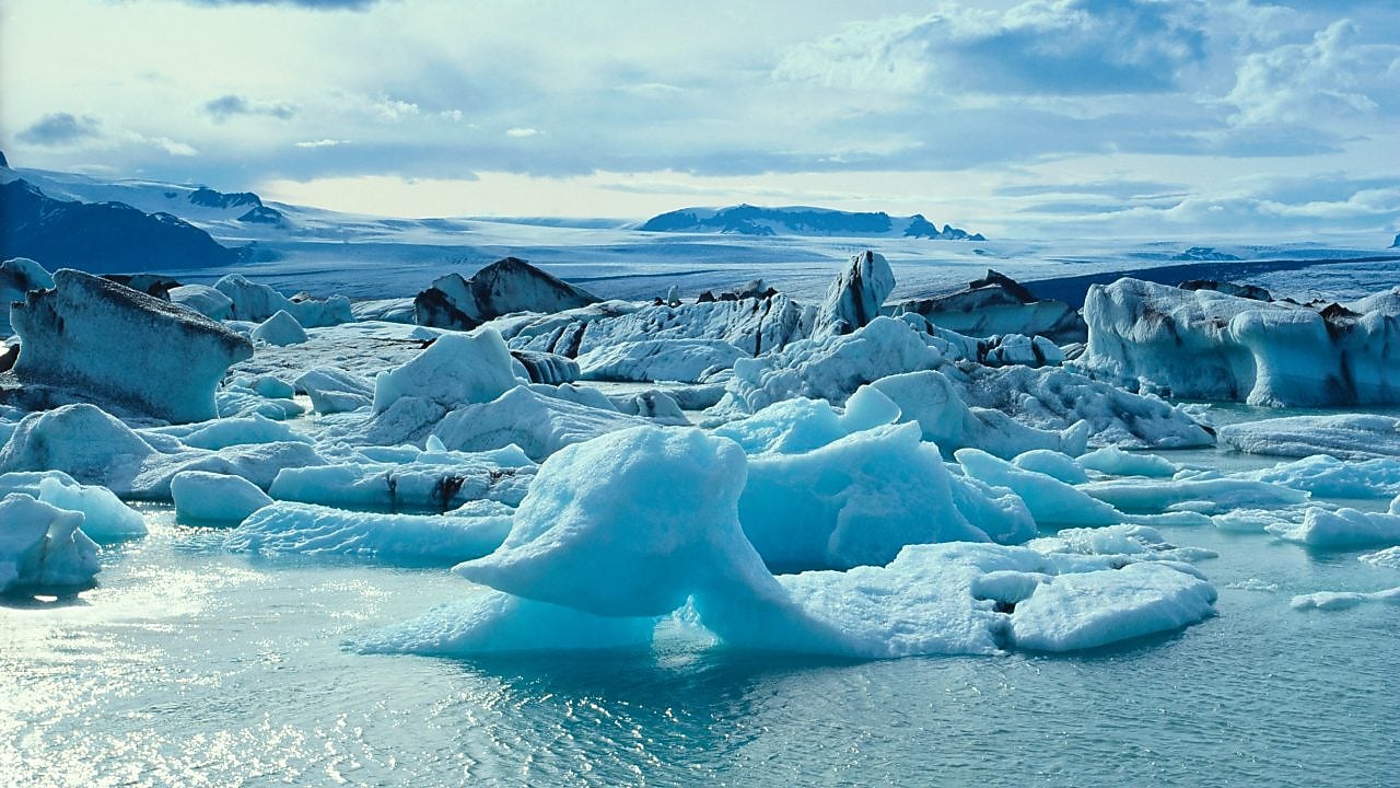 Glaciers floating on arctic water