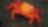 Close-up of brightly colored crab on rocky beach