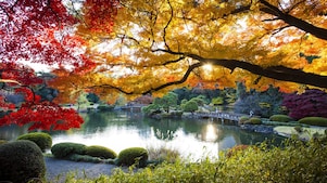 Lake surrounded by trees with leaves that are different autumn colours like yellows, andshaeds of brown