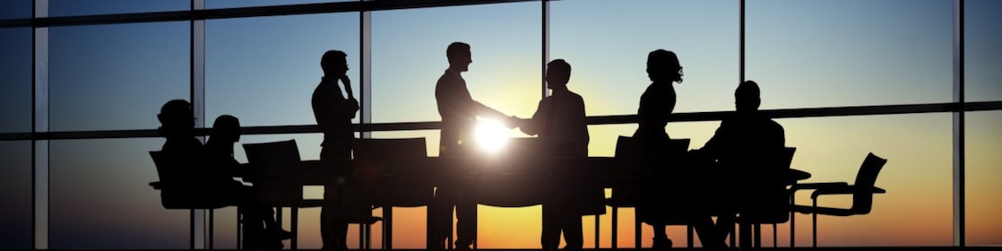 the Trustee directors