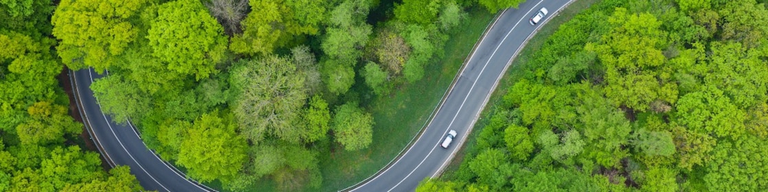 Scotwind, Geophysical Survey 2022